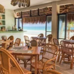 Where to Eat in Tulum: Best Beachfront Restaurants