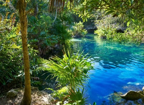 open-cenote open-cenote