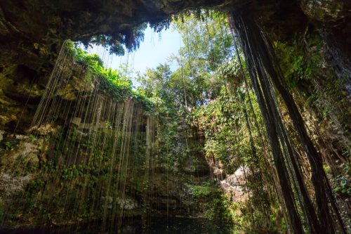 Unusual natural tropical  landscapes - Ik-Kil Cenote,  Mexico